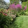 Ecostyle Tuinmest voor gazon en (moes)tuin